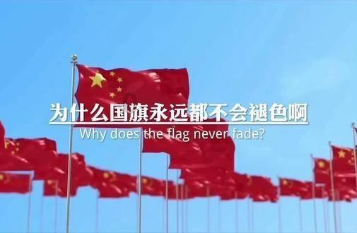 维新派的改革为什么没有成功？